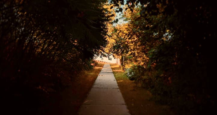 Kitchener in autumn — one of the most beautiful times of year