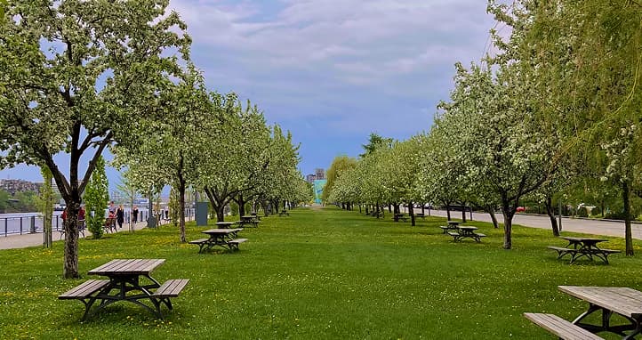 Spring in Montreal with a park near the waterfront