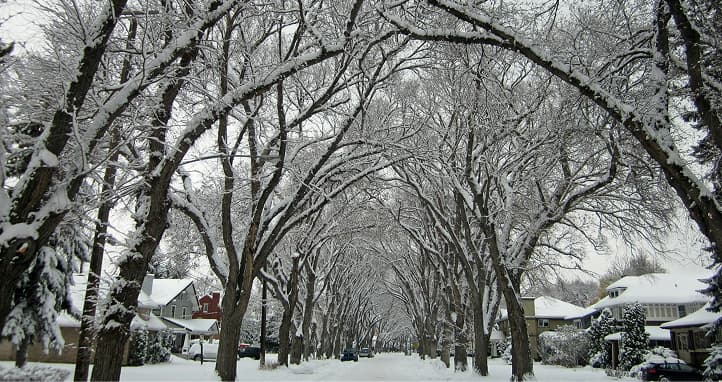 Neighbourhood in winter