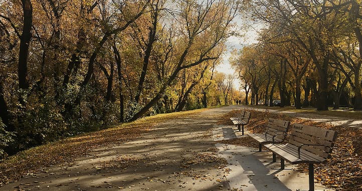 One of Saskatoon's parks